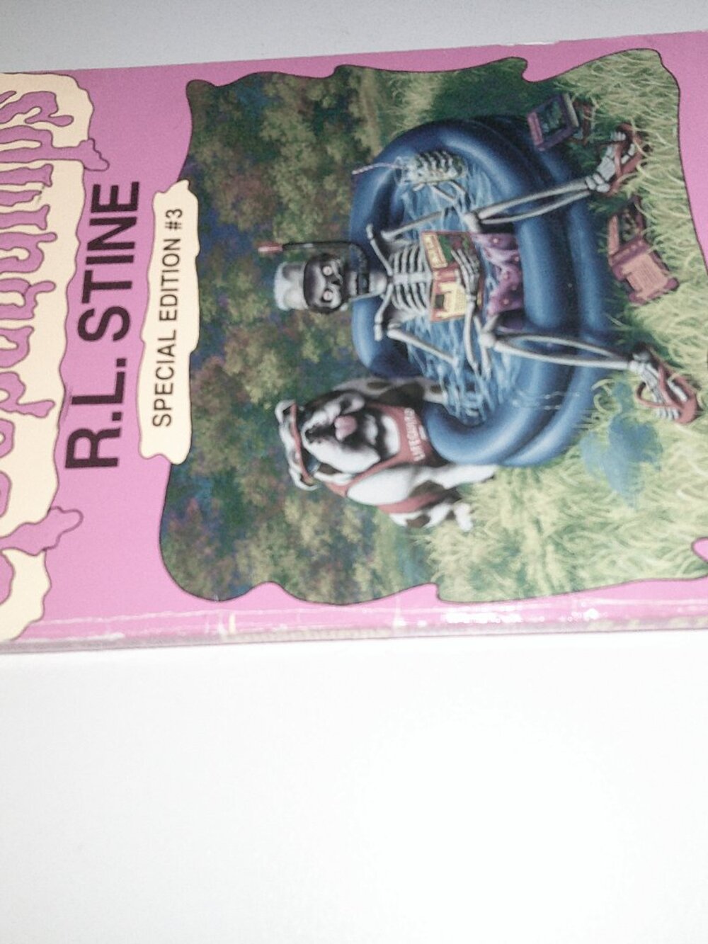 Goosebumps Even More Tales Special Edition #3 R.L. Stine 1996 Vintage Book - Picture 3 of 4
